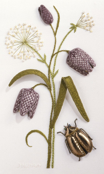 Fritillary, Fennel and Scarab Beetle Fritillary, Fennel and Scarab Beetle