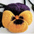 Gold/Purple Pansy Kit