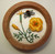 California Poppy and Bumble-Bee (or A Hint of Spring)