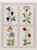 Shakespeare's Flowers: Sampler One