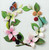 Dogwood and Green Lacewing Class