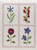 Shakespeare's Flowers: Sampler Two Class