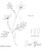 Swallowtail Butterfly placement diagram (downloadable)