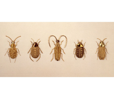 Goldwork Beetle Sampler