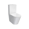  Parisi L'Hotel Wall Faced Suite Rimless Including Soft Close Seat PN730 