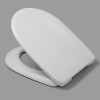 Argent Delphi Soft Close Toilet Seat With Quick Release Hinges J6A101C0202Y