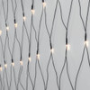 Eglo LED Curtain Lights Crisp White 410845N