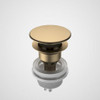 Caroma Urbane II Basin Dome Pop-Up Plug & Waste (Brushed Brass) 687330BB