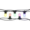 Eglo Festoon 10 Light LED Kit Black & Multi Colour 205402N