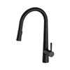  Nobel Plus Pull Down Sink Mixer Pin Lever 