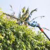 Senix Tools Senix X2 18V 45cm (18") Pole Hedge Trimmer Kit 