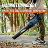 Senix Tools Senix X2 18V 750m³/hr Blower Kit 