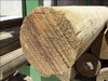 Treated Pine Logs Perfect Rounds