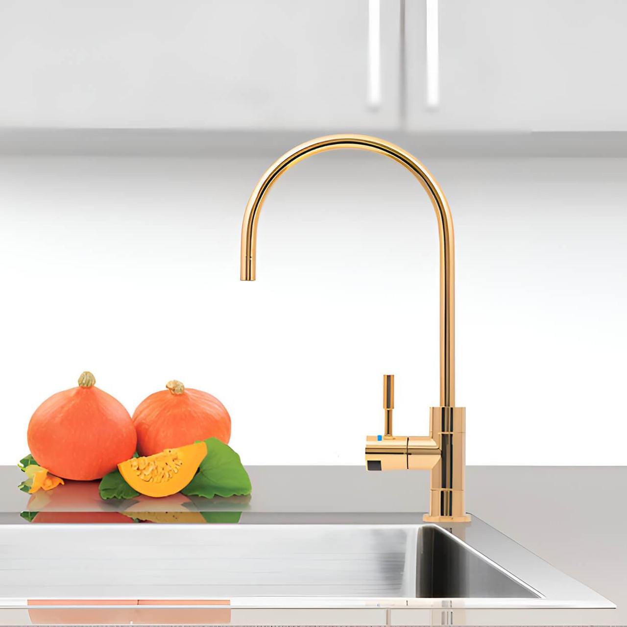  Puretec DFU Goose Neck Faucet 