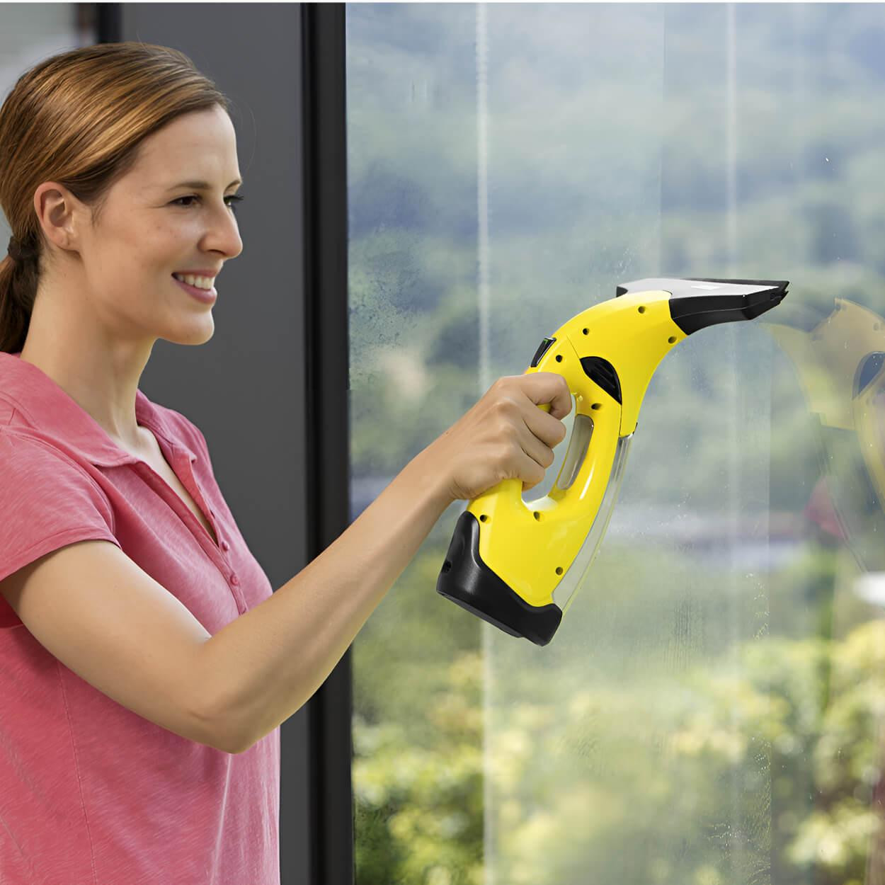 Karcher WV 2 Plus N Window Vac