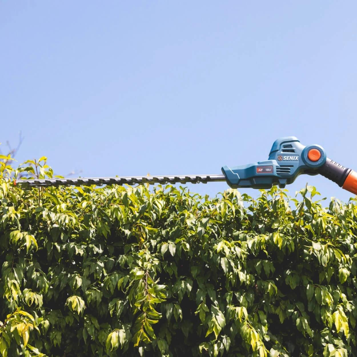 Senix Tools Senix X2 18V 45cm (18") Pole Hedge Trimmer Kit 