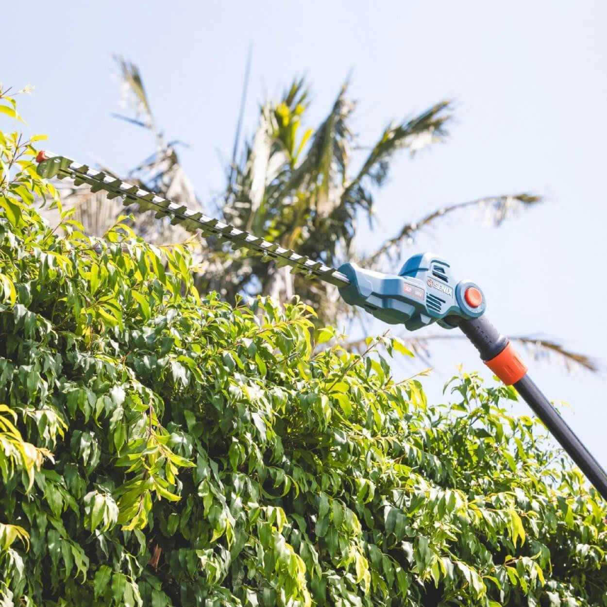 Senix Tools Senix X2 18V 45cm (18") Pole Hedge Trimmer Kit 