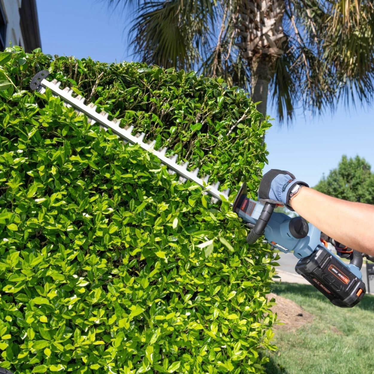 Senix Tools Senix X6 60V Brushless 69cm (26") Hedge Trimmer Skin 