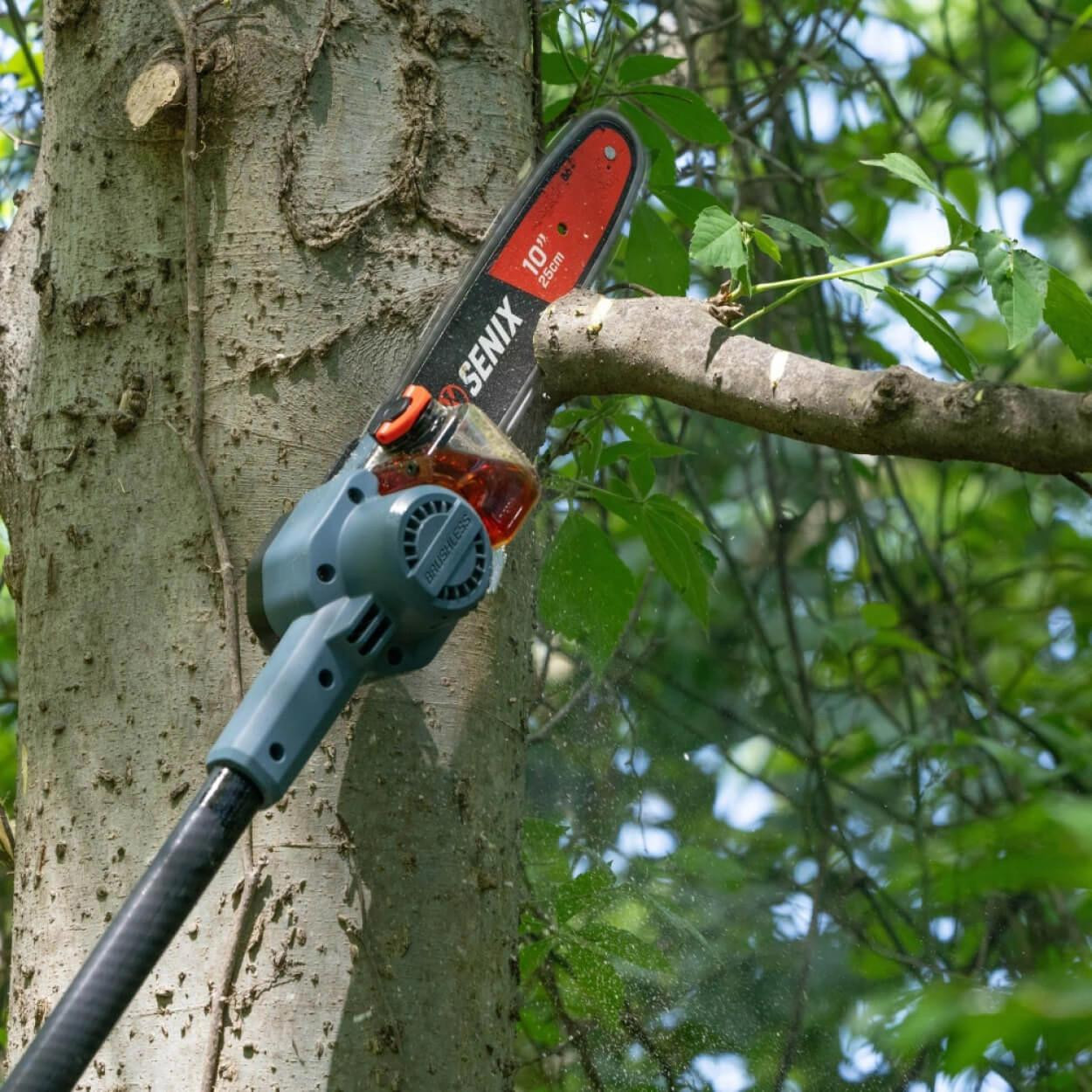 Senix Tools Senix X6 60V Brushless 25cm (10") Pole Saw Skin 