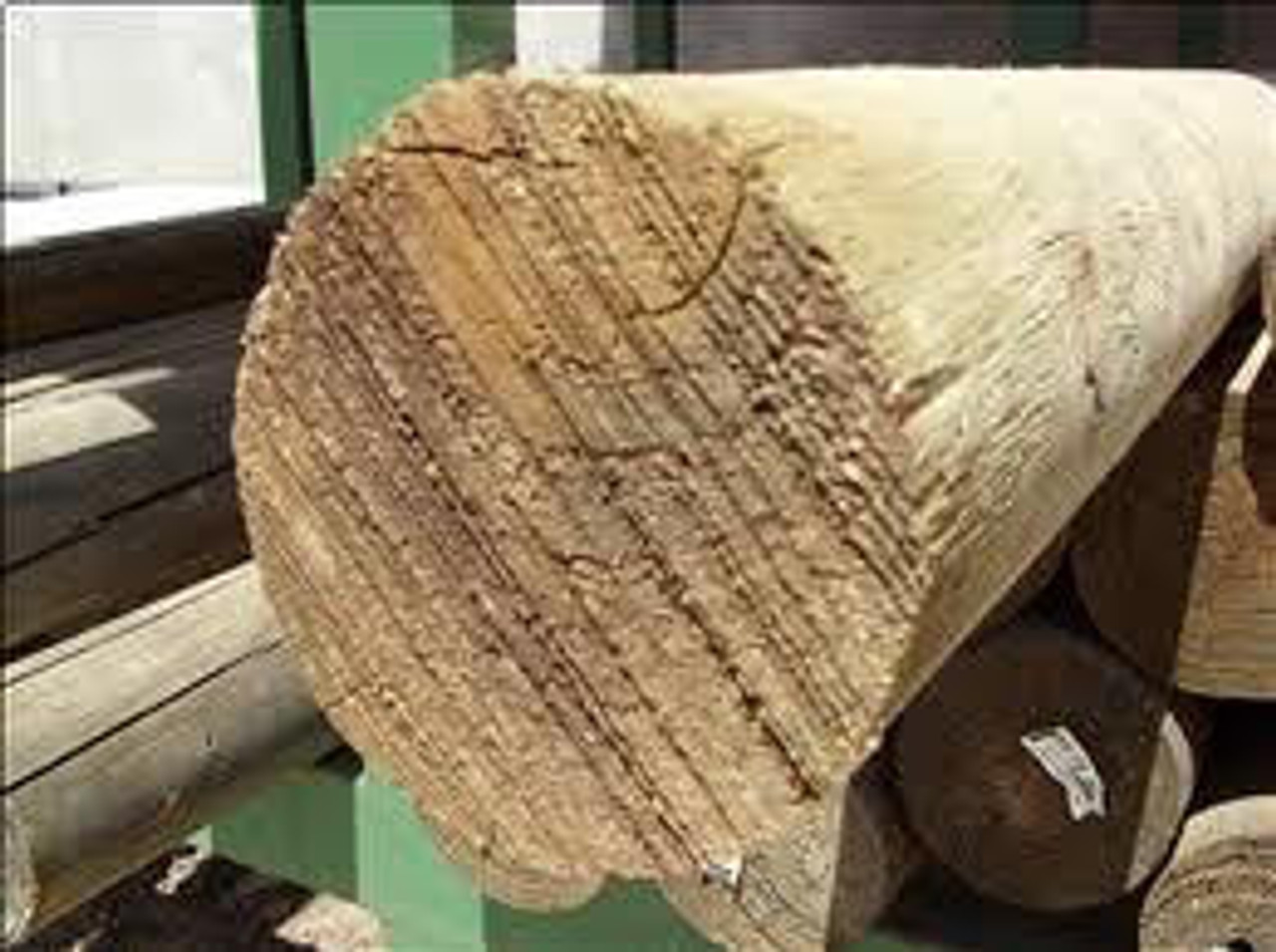 Treated Pine Logs Perfect Rounds