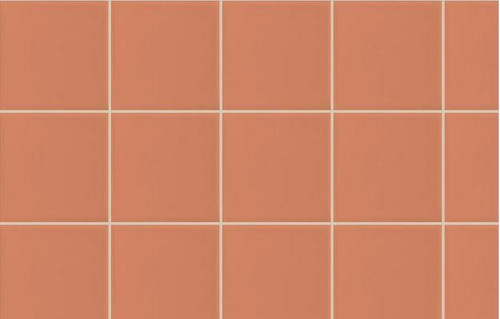 Ardex Grout Fg-8 Buff 229 1.5Kg 10080