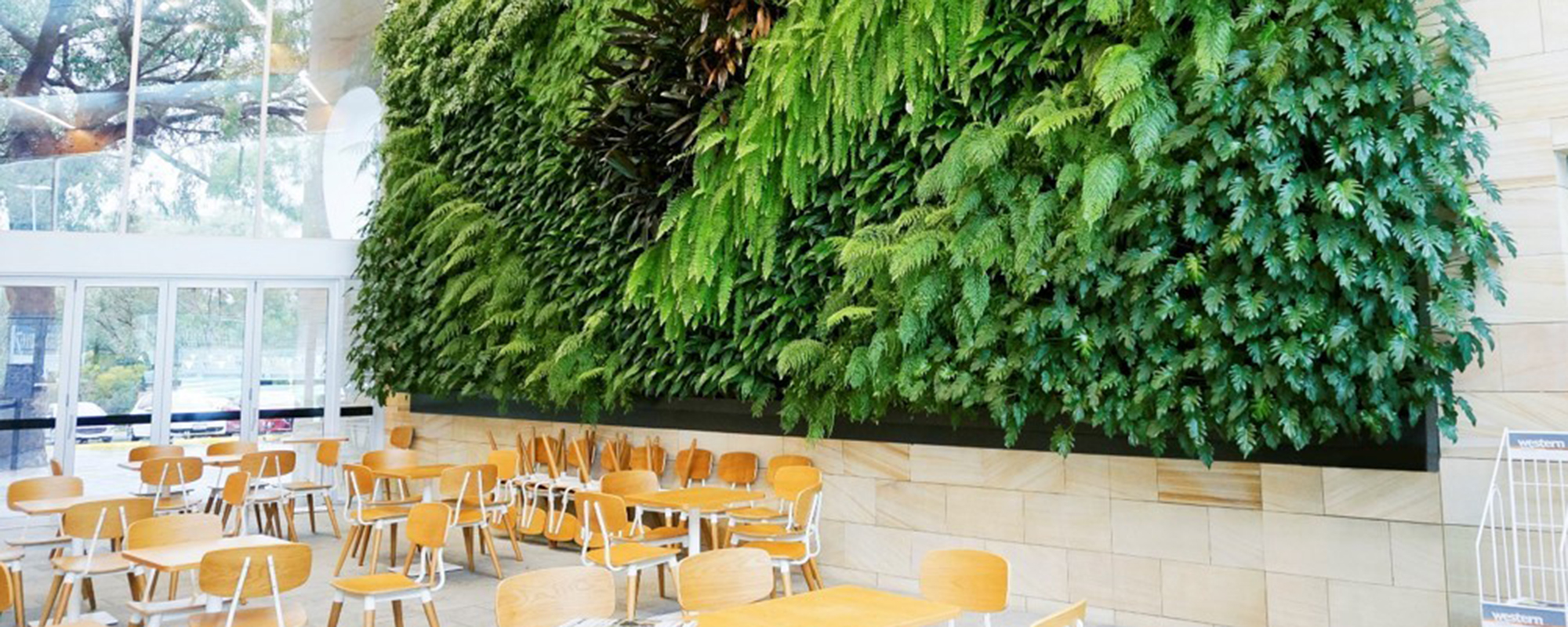 Undersatanding Vertical Gardens