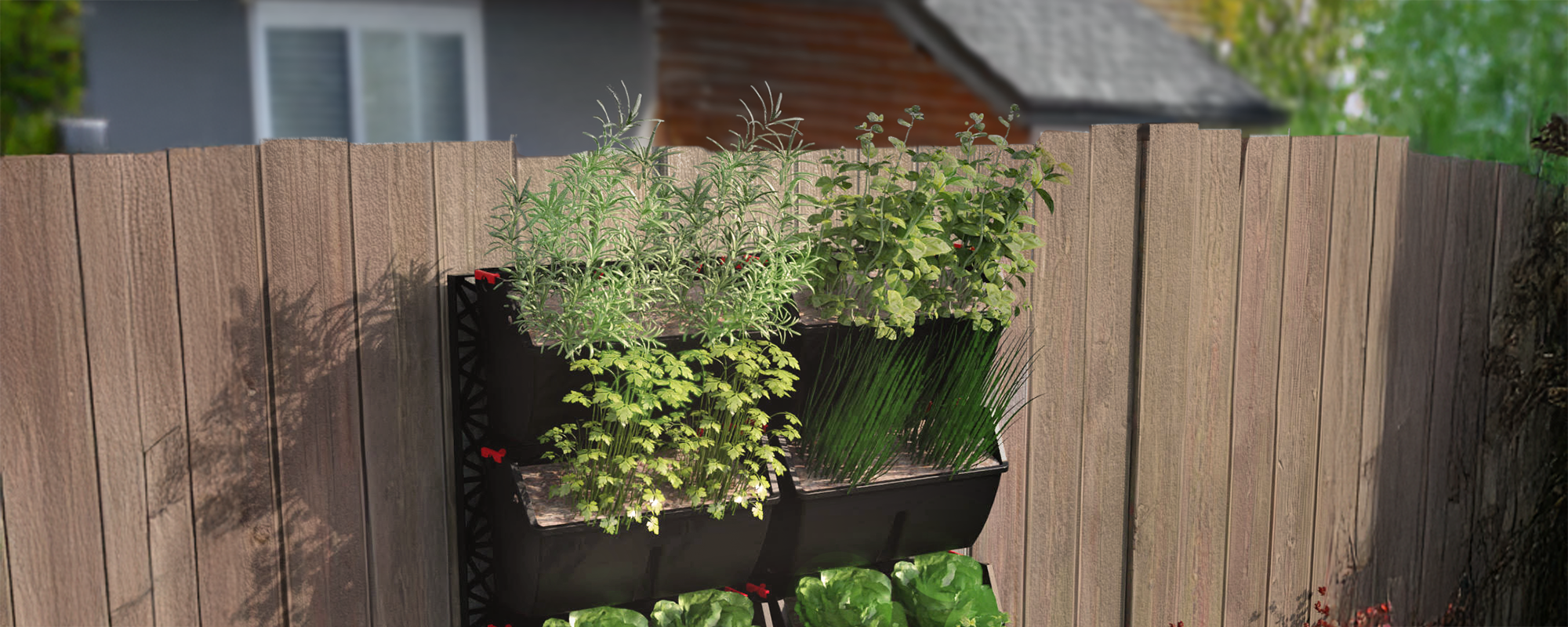 Atlantis Gro-Wall Garden Kit: Fresh Herbs at Home | H&G
