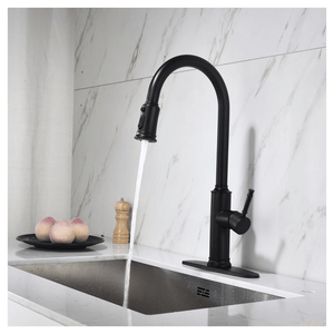 Single Handle Pull Down Kitchen Faucet with Dual Function Sprayhead T575-S0671279404