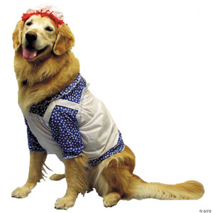 Raggedy ann dog costume lg M680-12122LG