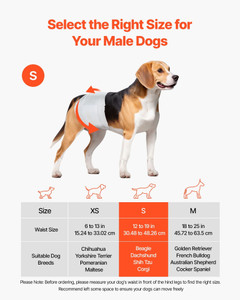 Disposable Male Dog Diapers, Super Absorbent Male Dog Wraps, 360 ?° Leak-Proof Belly Bands with Wet E415-CWNBFDGG96PSFS6W5001V0