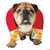 Chick magnet dog costume M680-GC4455SM