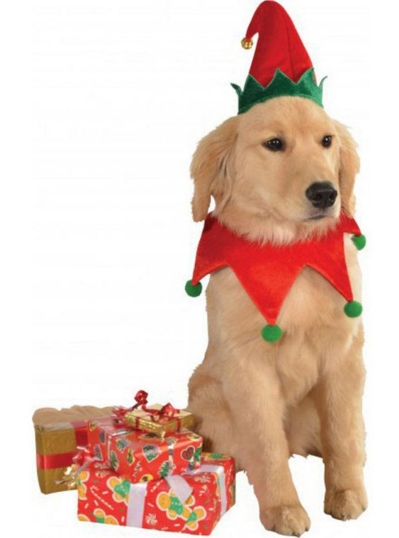 Elf Hat and Collar Pet Costume M L N274-WI01247875