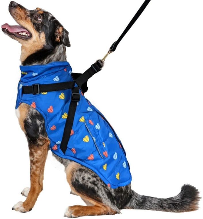 Fashion Pet Puffy Heart Harness Coat Blue Large 1 count N274-LM01ST02793_b2b