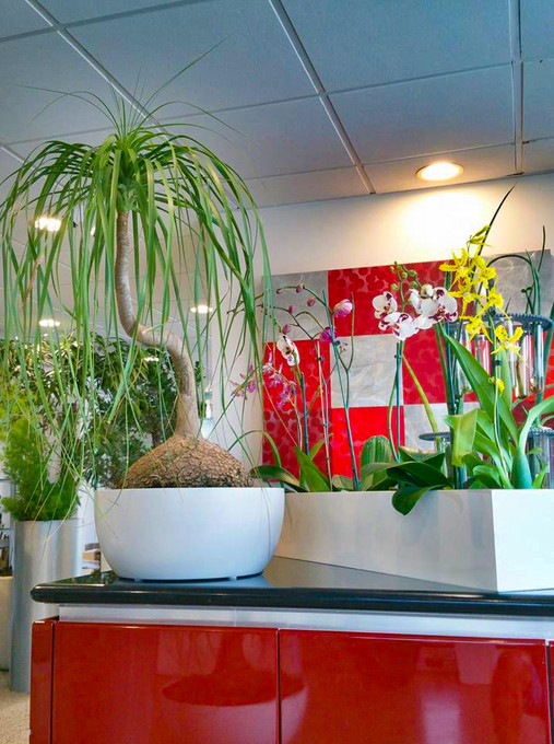The Rise of the Corporate Garden