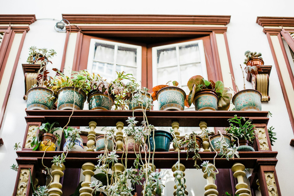 Stylish Landscaping Ideas for Apartments & Hotels: Using Planters to Create Impactful Green Spaces