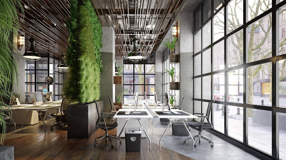 Elevate Your Commercial Building with Biophilic Design Concepts