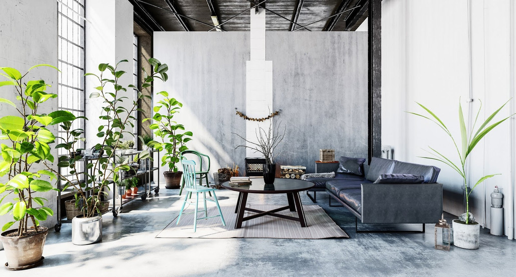 5 Unkillable Plants: Best Low-Maintenance Plants for Businesses