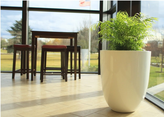 Round Planters vs. Square Planters: Choosing the Right Fit for Your Space