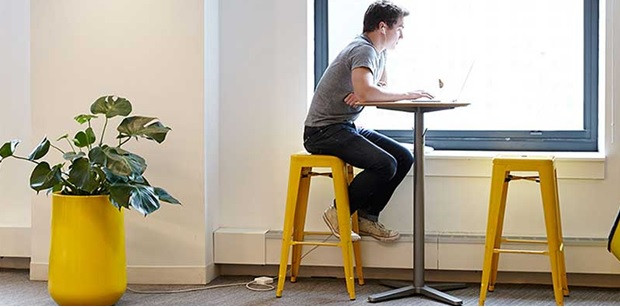 From Fiddle Leaf Fig to Monstera: The Most Popular Large Indoor Plants for Any Style