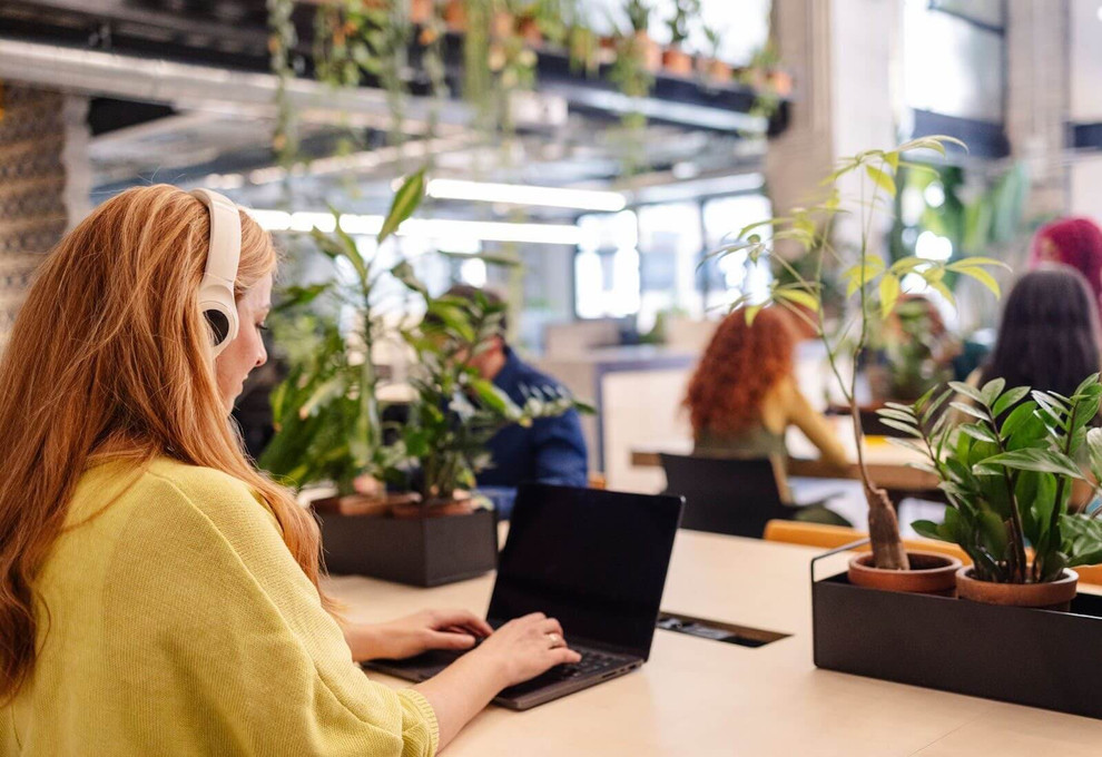 Workplace Wellness Starts Here: Office-Friendly Plants You’ll Love