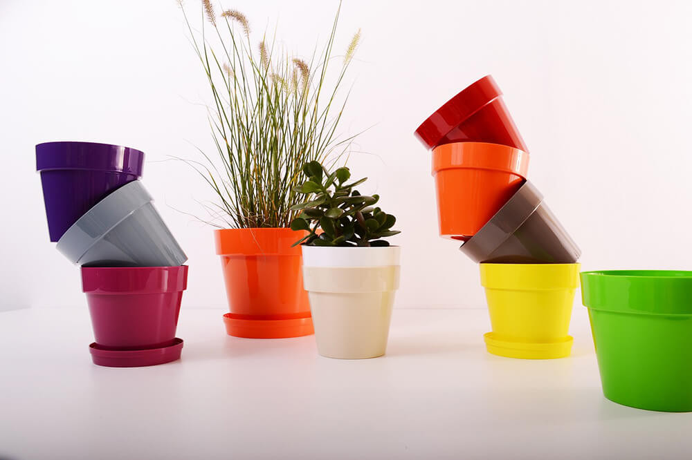 Are Plastic Pots Bad for Plants?
