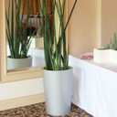 Tegel Tapered Round Planter Pot in white with tall snake plant near mirror