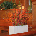 Tabletop rectangular fiberglass windowbox planter in antique white finish, placed indoors on wooden bar with decorative grass