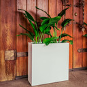 Milano narrow fiberglass planter box in white finish with tropical plants against wooden wall backdrop