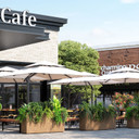 Old Elm Large Rectangle Planters in a commercial outdoor café setting with lush green plants