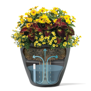 Alzira Round Tapered Plant Pot For Sale | Pots, Planters & More