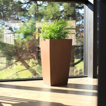 Toulan tapered tall square fiberglass planter in brown finish with green plant beside window