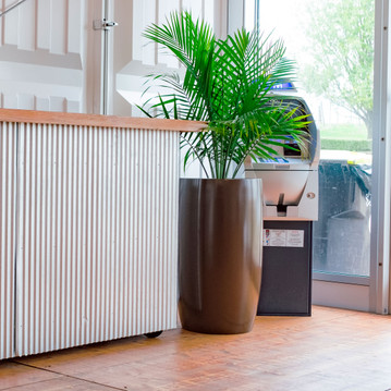 Lisbon Round Plant Pot in bronze finish styled with palm plant beside modern counter and glass entryway