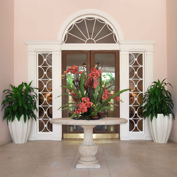 black pink princess philodendron Philodendron 'Pink Princess' main image 0