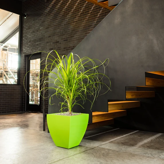 Bright green Lima Tapered Square Planter with tall indoor plant placed beside a modern staircase